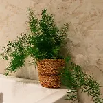 505 Апартаменти Бухарест