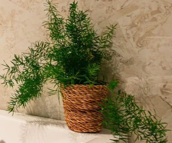 505 Appartement Bucarest