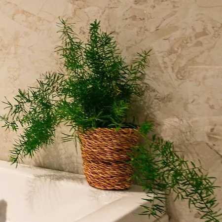 505 Apartment Bucharest